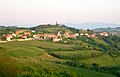 The Gorizia Hills wine region