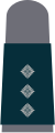 Dunkelblaues Grund­gewebe mit hell­grau­en Emblemen für Luftwaffen­uni­form­träger (hier: Haupt­mann, grau-blaue Fliegerkombi­nation)