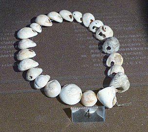 Gravettian Tritia neritea shell necklace