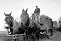 Marion County farmer with mule-drawn wagon, about 1926
