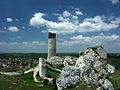 Ruins of Gmina Olsztyn