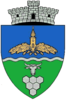 Coat of arms of Șag