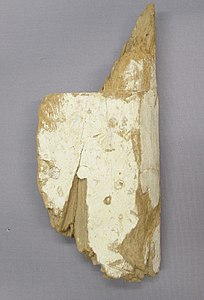 Fragment from an Ancient Egyptian tomb door, circa 2150 –1981 BC, in the Metropolitan Museum of Art (New York City)