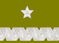 Generał brygady Mützenband