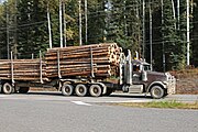 Holzlaster in Britisch Kolumbien