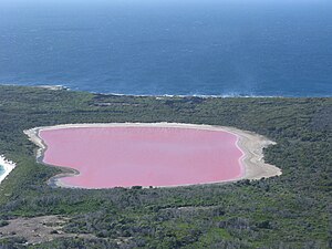Lake Hillier, Australia, the color is caused by algae