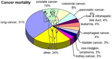 Most common cancers in males, by mortality