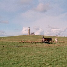 a small group of horses on a grassy heath, a lighthouse in the background