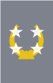 General de ejército (Chilean Army)