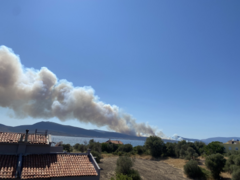 Wildfires in Urla, İzmir