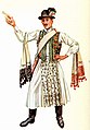 Image 38A vőfély in traditional costume, c. 1885 (from Culture of Hungary)
