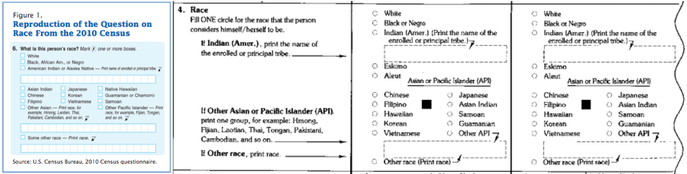 Census questions in 2010 and 1990 regarding race