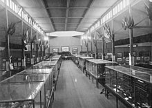 A large room with two rows of glass-topped cases in its centre and paintings hung from its walls.