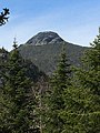 A view of Camel's Hump from the Allis Trail to the southeast