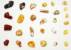 Different colours of Baltic amber.