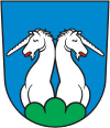 Wappen von Hünenberg