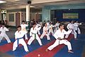 Image 44Karatekas wearing different colored belts (from Karate)