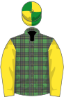 Mcalpine tartan, yellow sleeves, green and yellow quartered cap