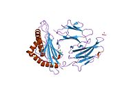 1of2: CRYSTAL STRUCTURE OF HLA-B*2709 COMPLEXED WITH THE VASOACTIVE INTESTINAL PEPTIDE TYPE 1 RECEPTOR (VIPR) PEPTIDE (RESIDUES 400-408)