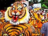 Indian tiger dance. Redtigerxyz Talk 10:24, 24 December 2011 (UTC)