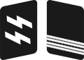 SS Gorget patches