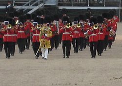 The Band of the Scots Guards beating retreat at Horseguards in London in 2008