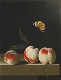 Three peaches on a stone ledge with a Painted Lady butterfly, oil on paper, 31.3 x 23.3 cm, monogrammed "AC" and dated 1693-1695 based on compositional characteristics