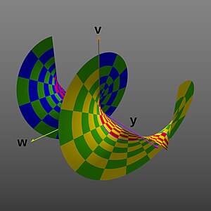 Projection into the y {\displaystyle y} , v {\displaystyle v} , and w {\displaystyle w} dimensions, producing a spiral shape. ( y {\displaystyle y} range extended to ±2π, again as 2-D perspective image).