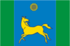 Flag of Dnipro Raion