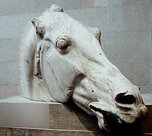 Head of a horse of Selene from the east pediment of the Parthenon (British Museum)[6]
