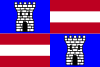 Flag of Paliseul