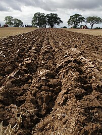 The mould-board plow leaves distinct furrows (trenches) across the field.
