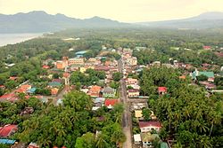 Aerial view of Hinunangan