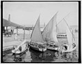 Sailboats in 1901