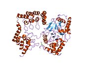 1s70: Complex between protein ser/thr phosphatase-1 (delta) and the myosin phosphatase targeting subunit 1 (MYPT1)