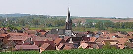 A general view of Ingenheim