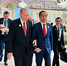 Erdogan and Jokowi hold hands on the sidelines of the OIC summit
