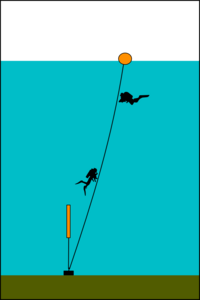 Bottom tensioned shotline: The line passes through a ring at the weight and is tensioned by a small float, often a small lift bag which can later help lift the shot as the air expands.