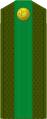 Starşina (Turkmen Ground Forces)[8]