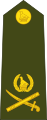 Lieutenant general (Zimbabwe National Army)