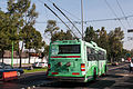 Obwohl mexikanische Trolley­busse kein Kenn­zeichen benö­tigen, verfügt dieser Wagen über eine ent­sprechende Halterung