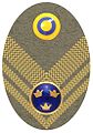 Hat badge (Mössmärke m/1946) for a lieutenant colonel in the army.