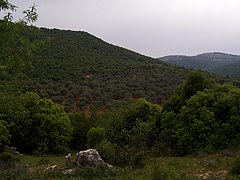 Ajloun Mountains