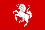 Flagge der Region Twente (Twentse Ros)