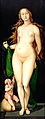 Venus with Cupid, 1525