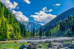 Photograph showing the heavily-forested landscape of the Neelum Valley in April 2015
