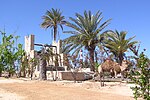 An old well with palm trees and a camel