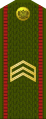 Сяржант Siaržant (Belarusian Ground Forces)[30]
