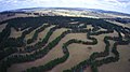 Image 54Contour planting integrated with animal grazing on Taylor's Run farm, Australia (from Agroforestry)