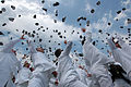United States Naval Academy graduation, by Photographer's Mate 2nd Class Daniel J. McLain